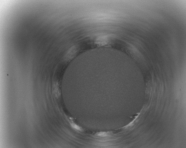 X0000066010136200603101606