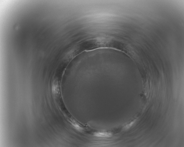 X0000066010137200603101606