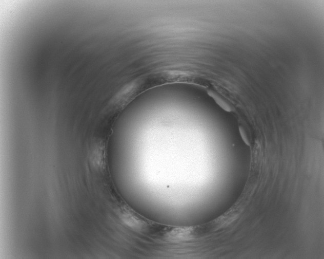 X0000066010138200603101606