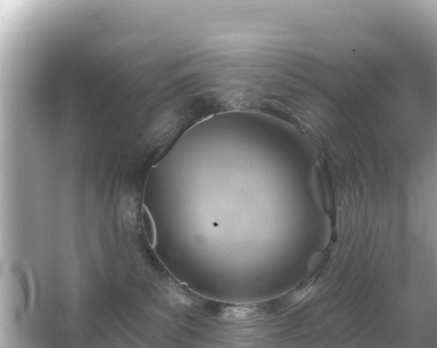 X0000066010139200603101606