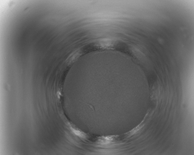 X0000066010140200603101606