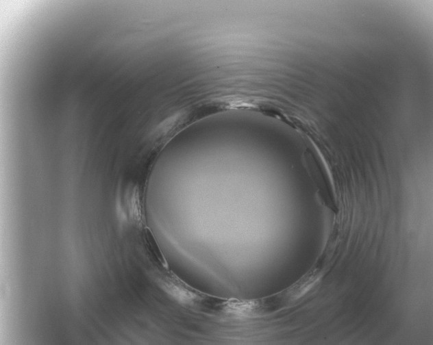 X0000066010143200603101606