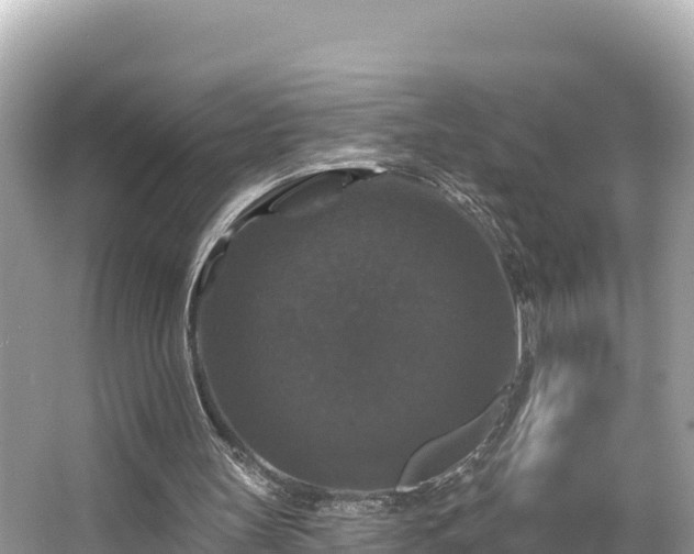 X0000066010147200603101605