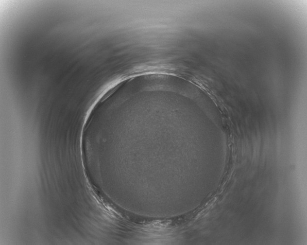 X0000066010148200603101605