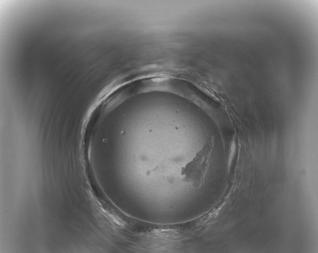 X0000066010150200603101605