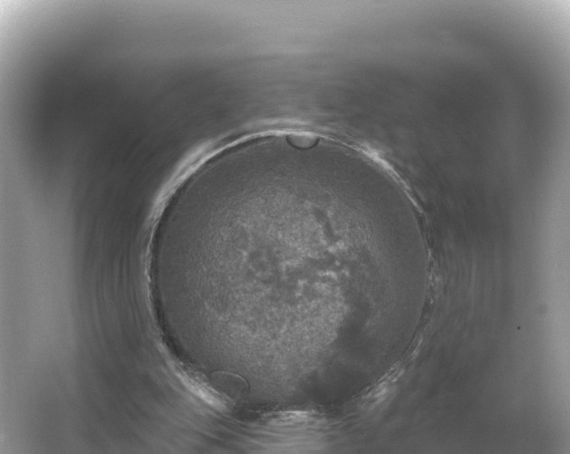 X0000066010151200603101605