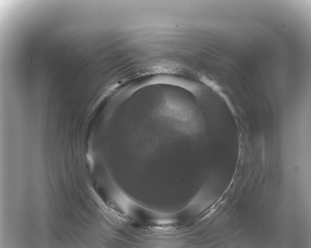 X0000066010154200603101606