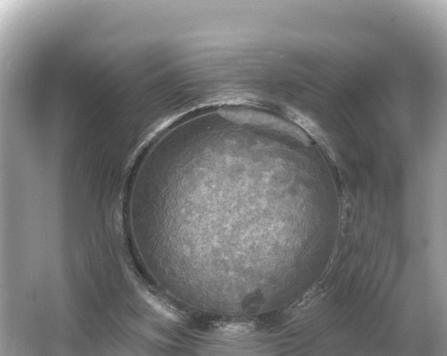 X0000066010155200603101606