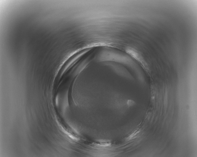 X0000066010156200603101606