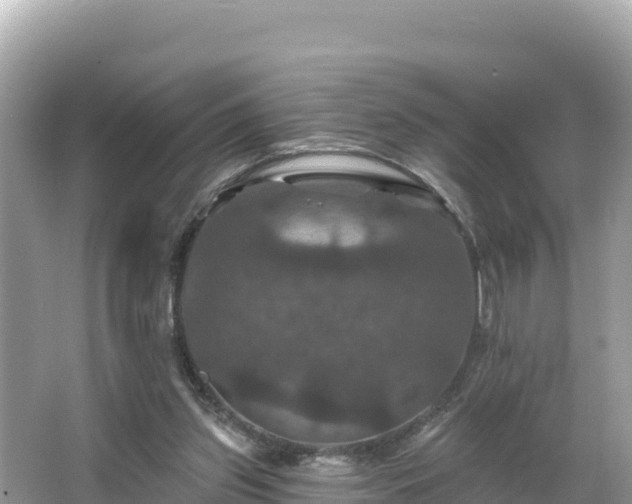 X0000066010157200603101606