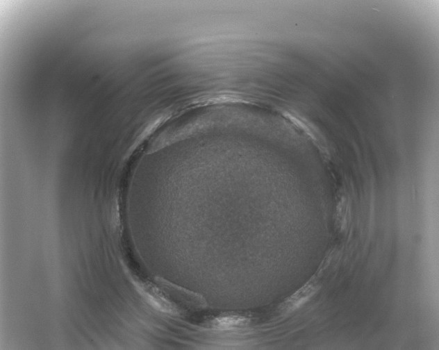 X0000066010158200603101606