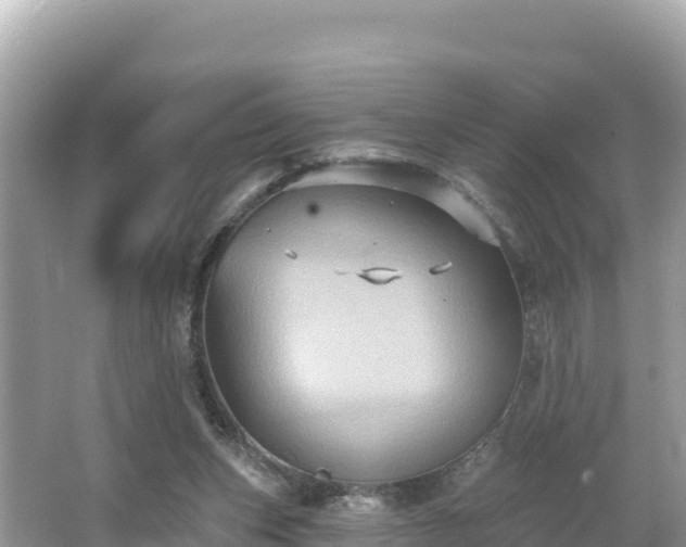 X0000066010159200603101606