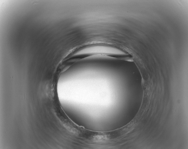 X0000066010160200603101606