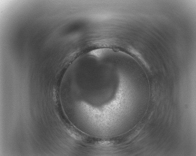 X0000066010161200603101606