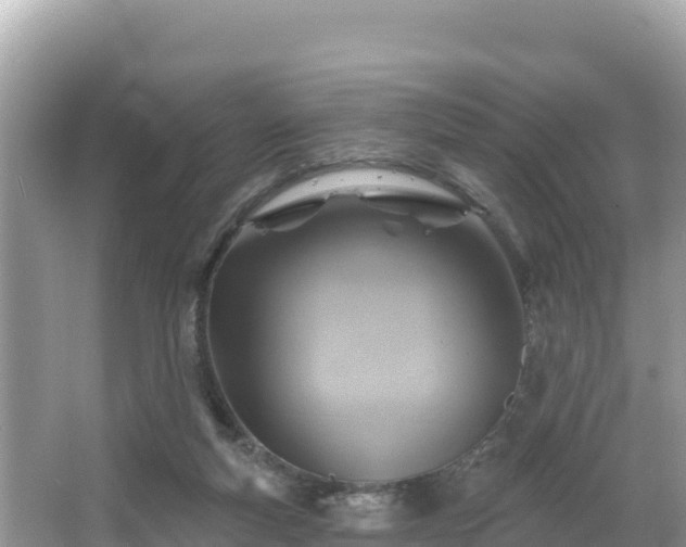 X0000066010163200603101606