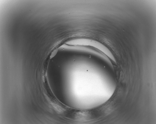 X0000066010164200603101606