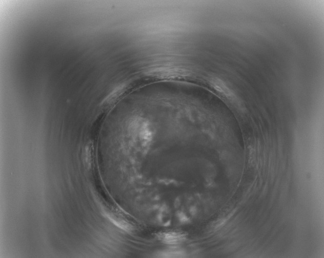 X0000066010165200603101606