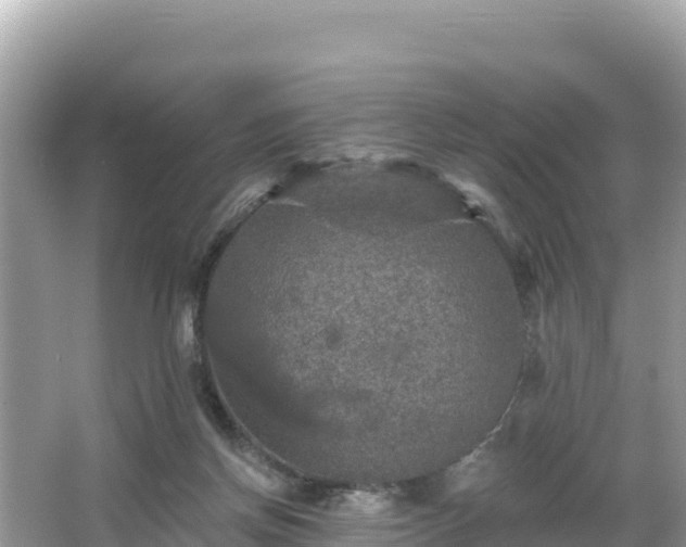 X0000066010166200603101606