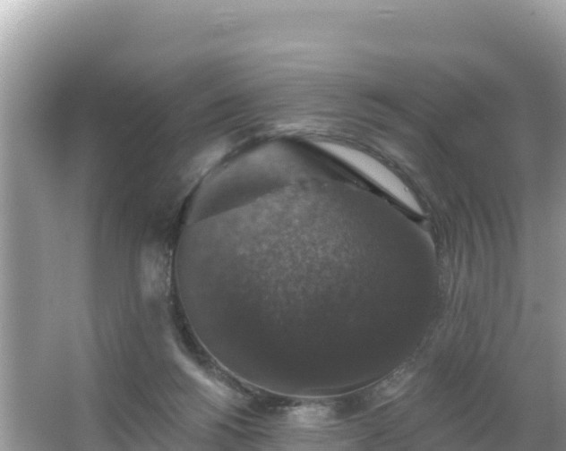 X0000066010168200603101606