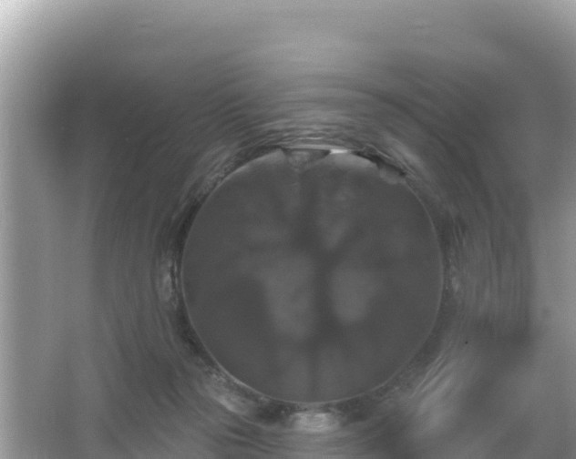 X0000066010169200603101606