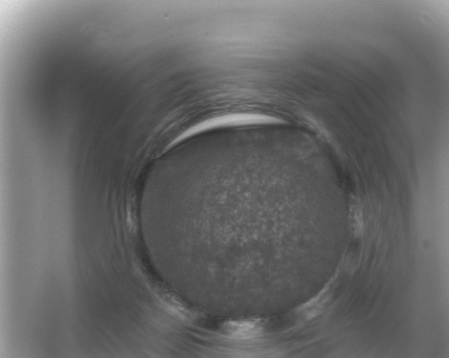 X0000066010170200603101606