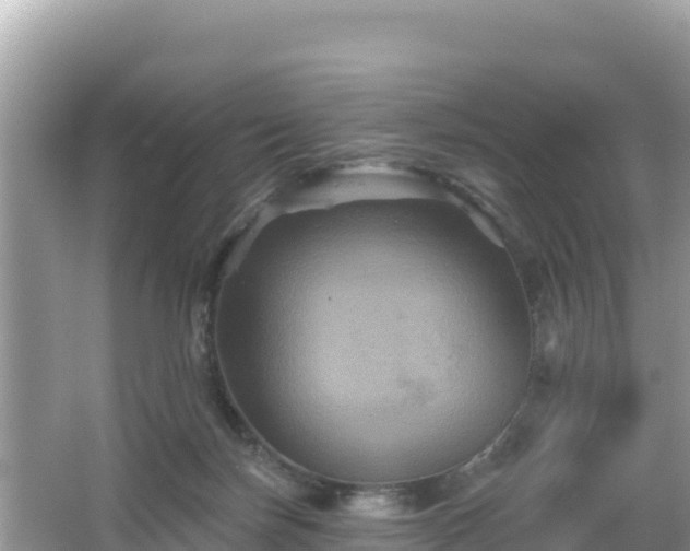 X0000066010171200603101606