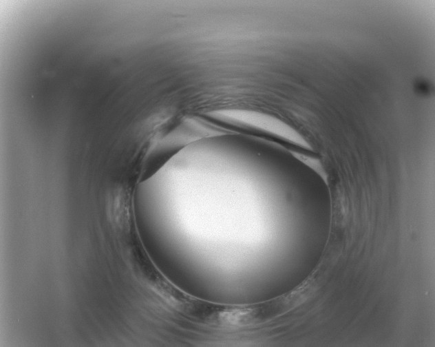 X0000066010172200603101606