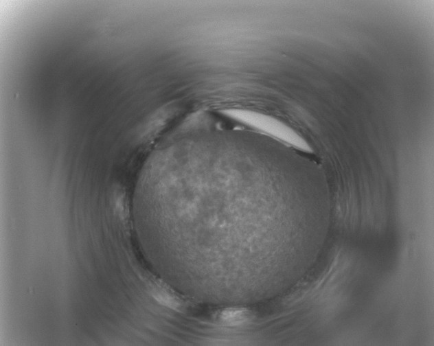 X0000066010173200603101606