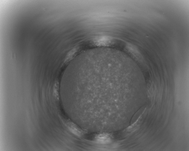 X0000066010175200603101606