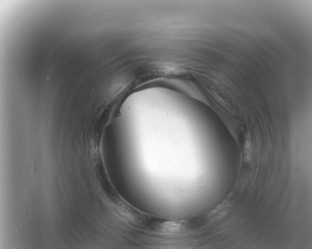 X0000066010176200603101606