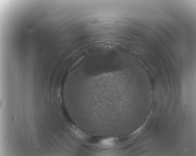 X0000066010178200603101606