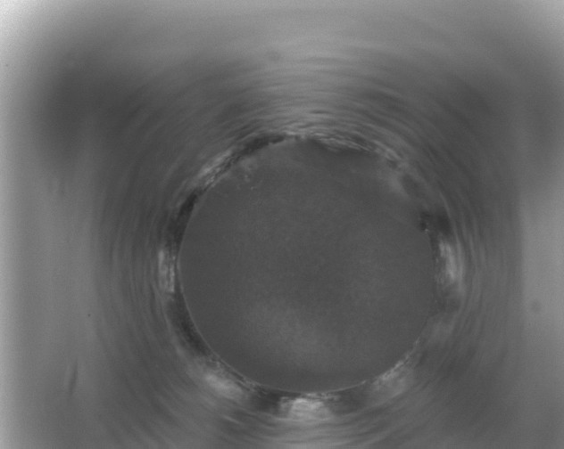 X0000066010180200603101606