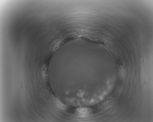 X0000066010181200603101606