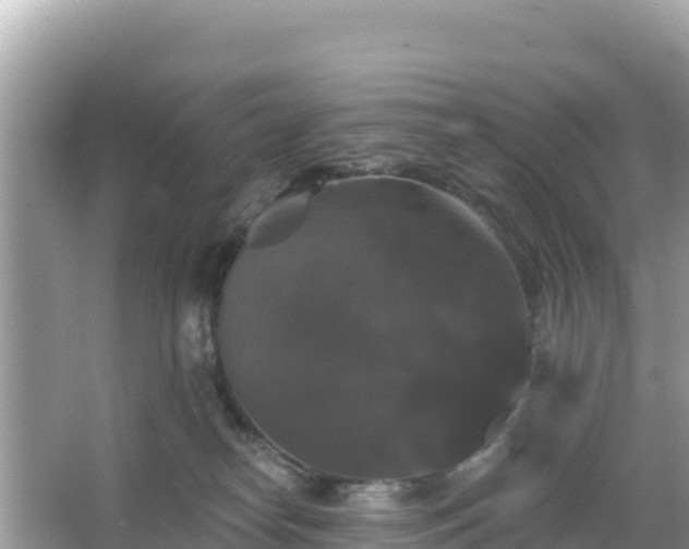 X0000066010182200603101606