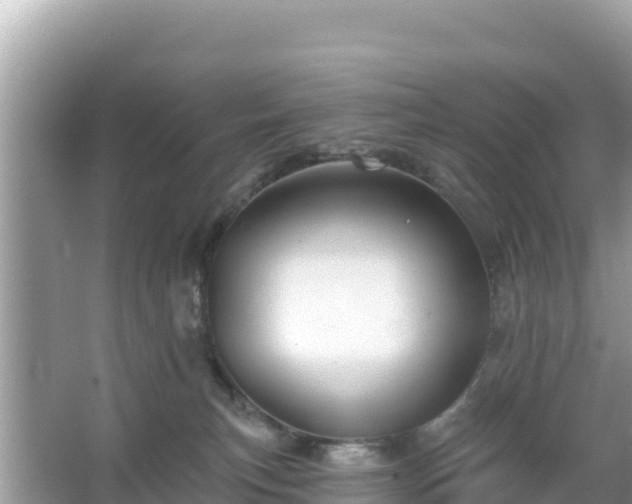 X0000066010183200603101606