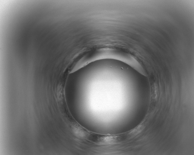 X0000066010184200603101606