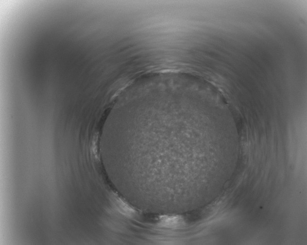 X0000066010185200603101606