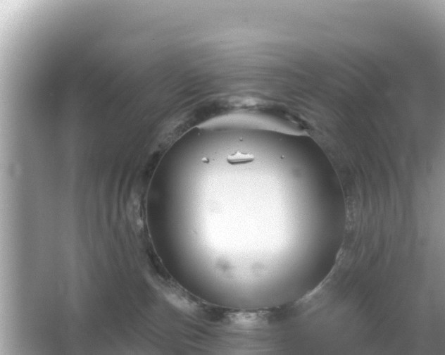 X0000066010187200603101606