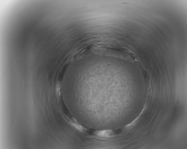 X0000066010191200603101606