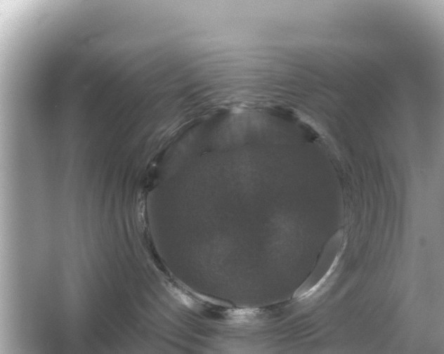 X0000066010192200603101606