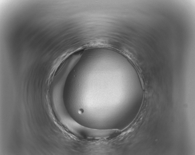 X0000066010193200603101605