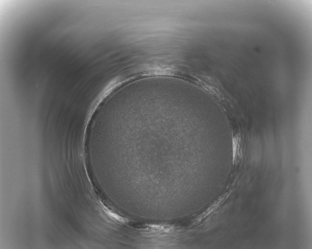 X0000066010195200603101605