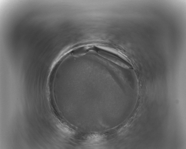 X0000066010198200603101605