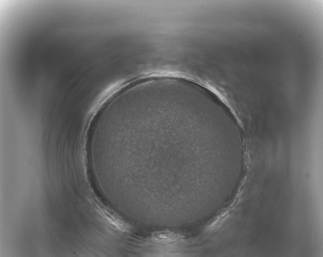 X0000066010199200603101605