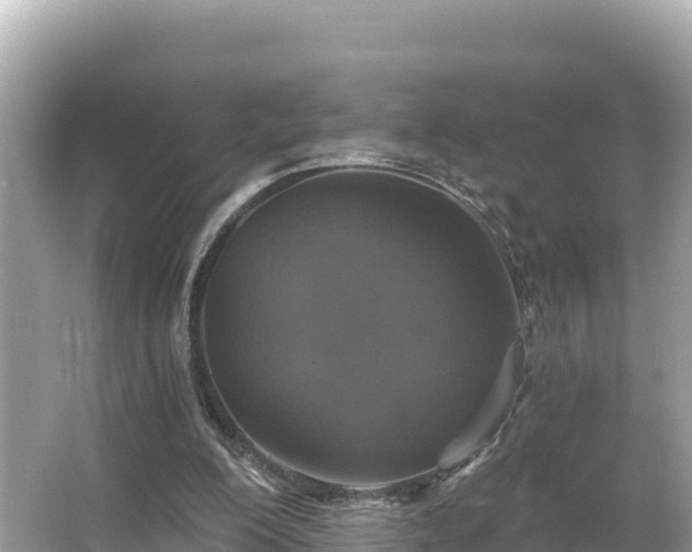 X0000066010200200603101605