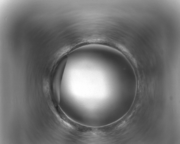 X0000066010201200603101605