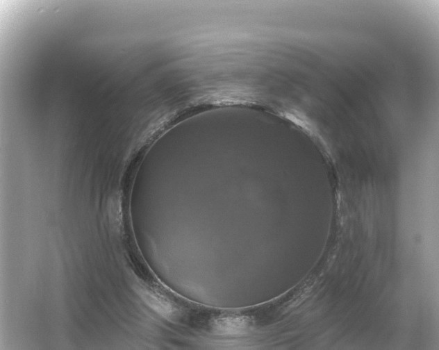 X0000066010202200603101605