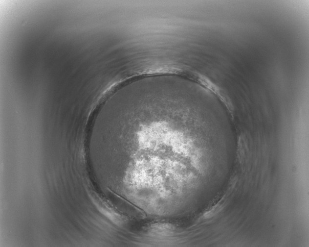 X0000066010203200603101605