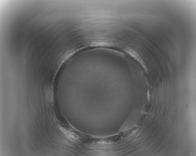 X0000066010204200603101605