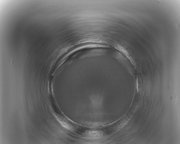 X0000066010205200603101605